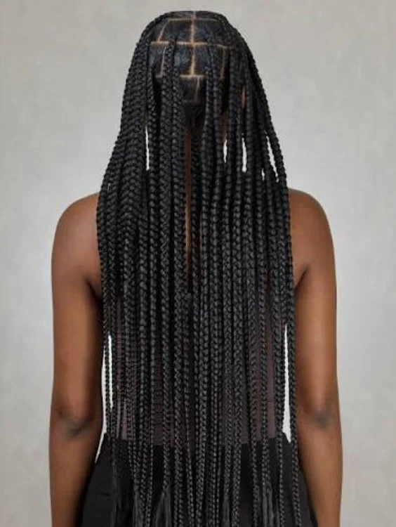 Regular Knotless Braids E