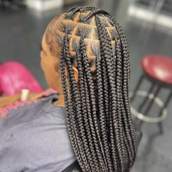 Regular Knotless Braids D