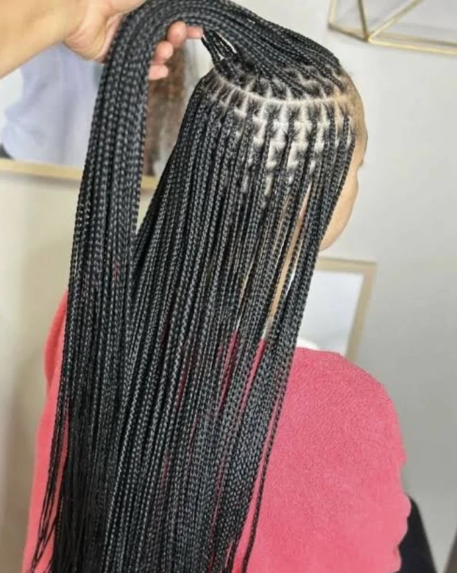 Regular Knotless Braids A